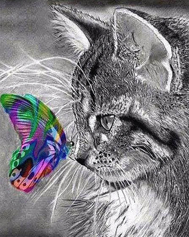 Cat and Butterfly colorful