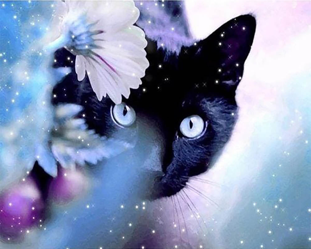 Cat and Flower
