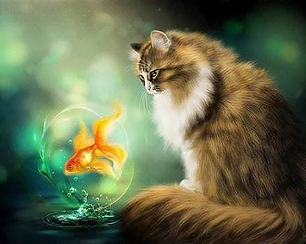 Cat and Goldfish