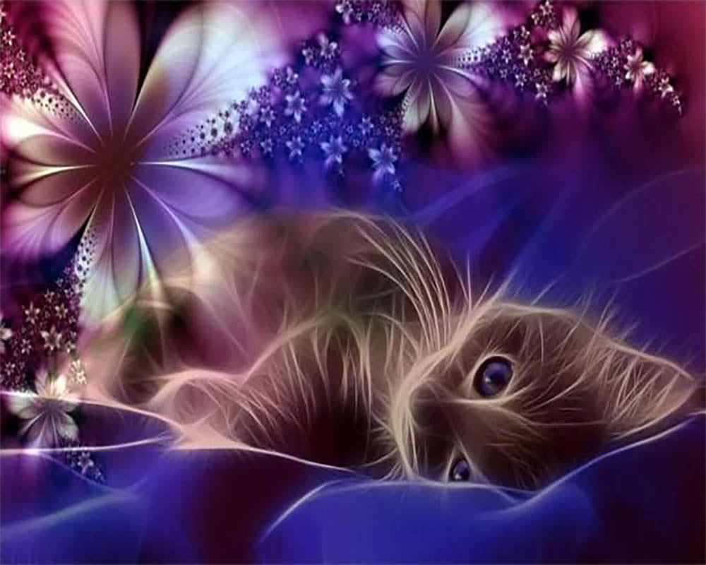 Cat dreams