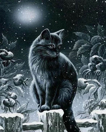 Cat in the Snow