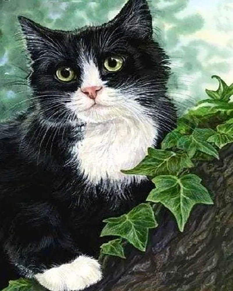 Cat on the branch