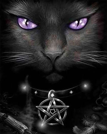 Cat with violet eyes