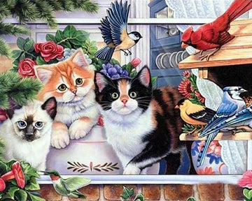 Cats and Birds
