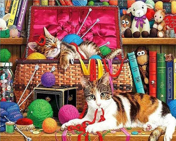 Cats playing
