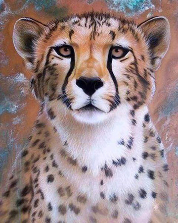 Cheetah Face