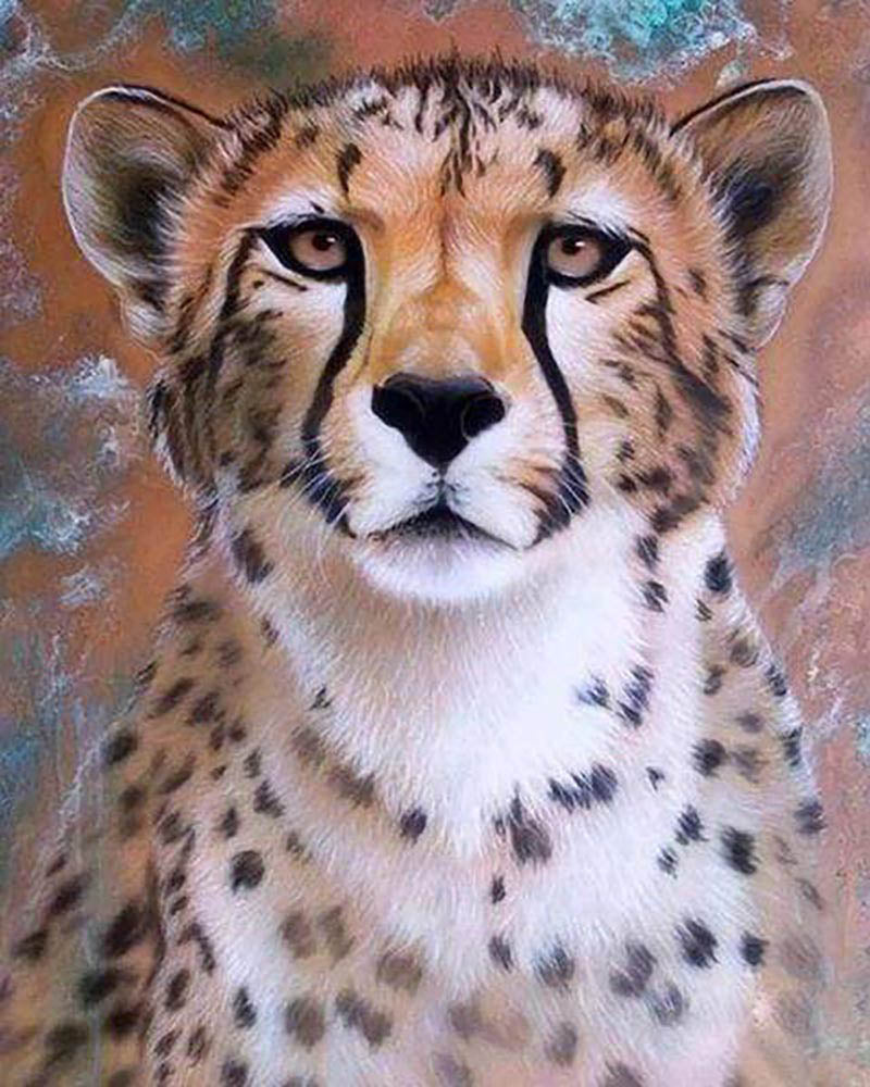 Cheetah Face