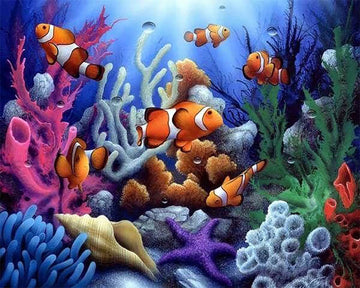 Clown Fish