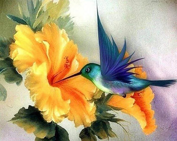 Colibri