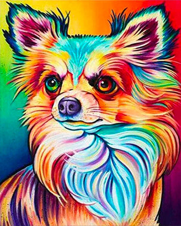 Color Dog portrait