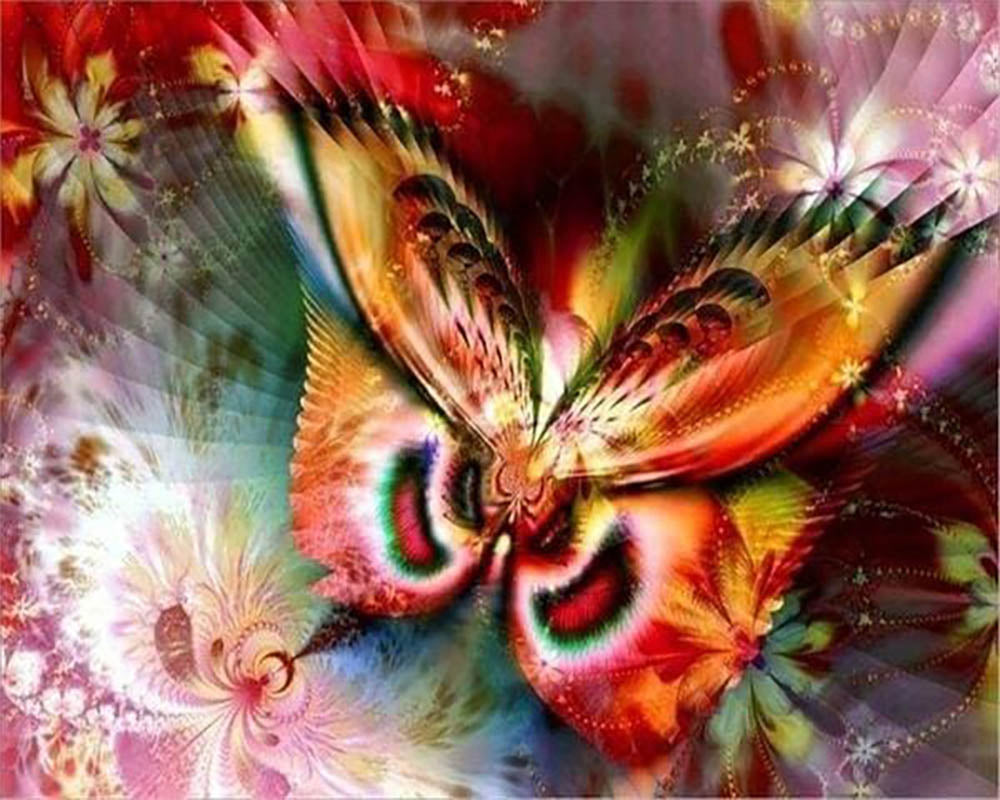 Colorful Butterfly