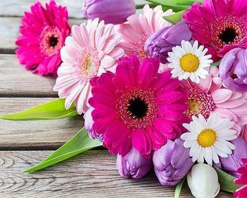 Colorful Daisies