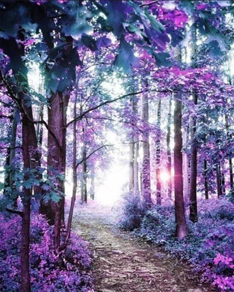 Colorful Forest