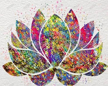Colorful Lotus