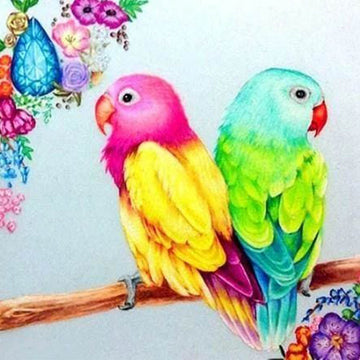 Colorful Parakeets