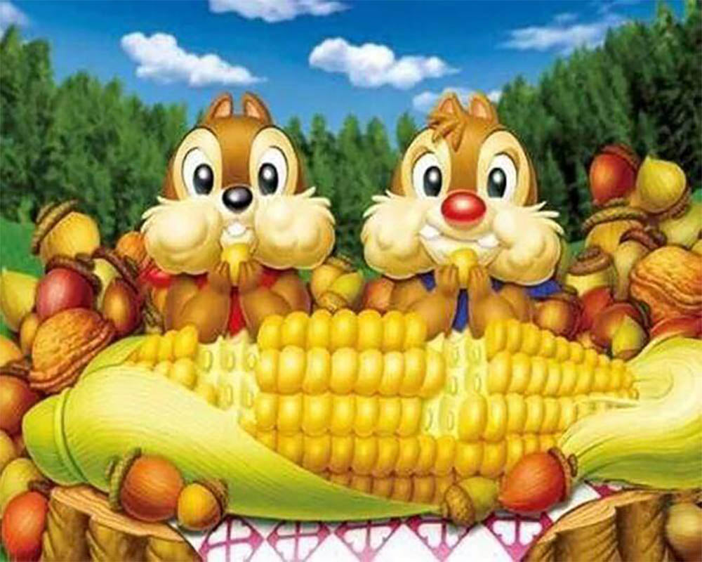 Corn Tasting