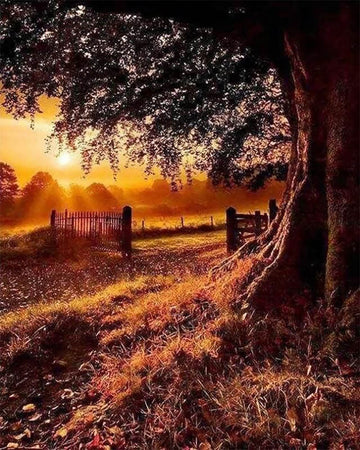 Countryside Daybreak