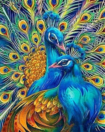 Couple of Peacocks