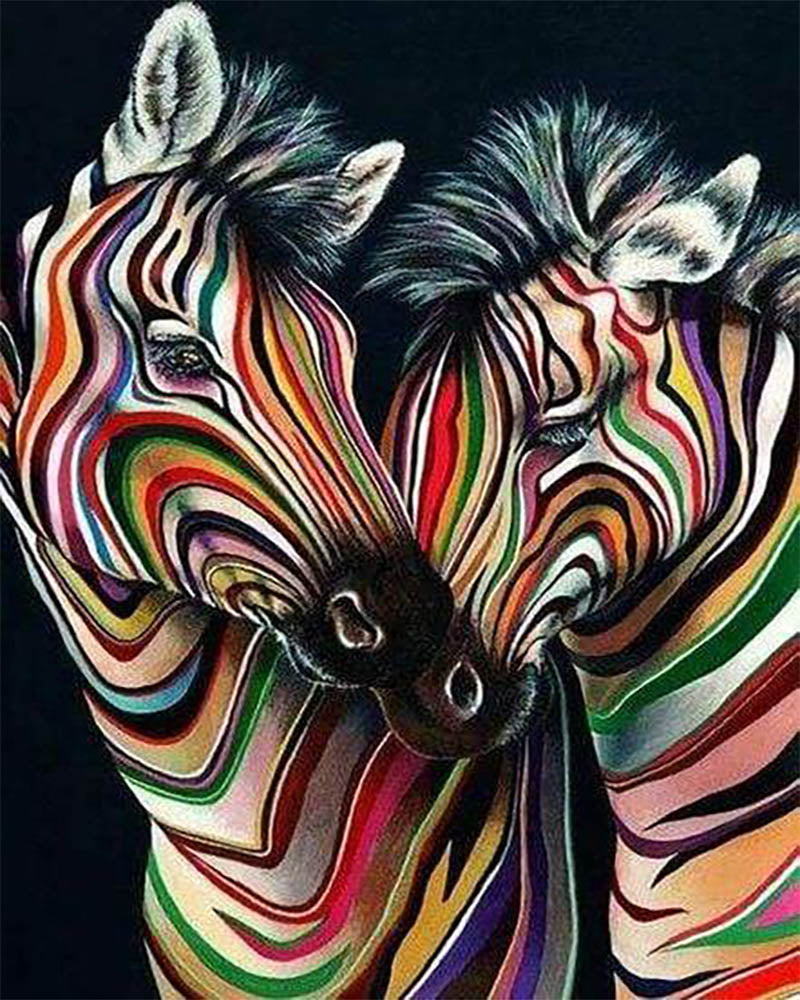 Couple of zebras