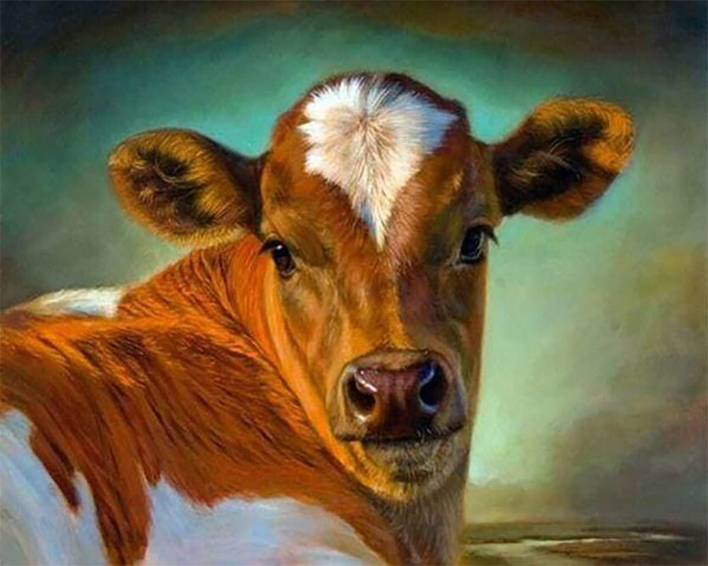 Cow