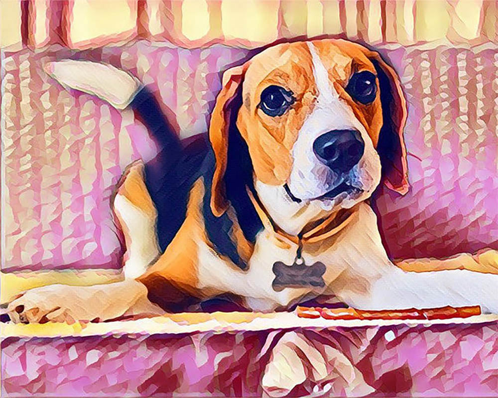 Cute Beagle