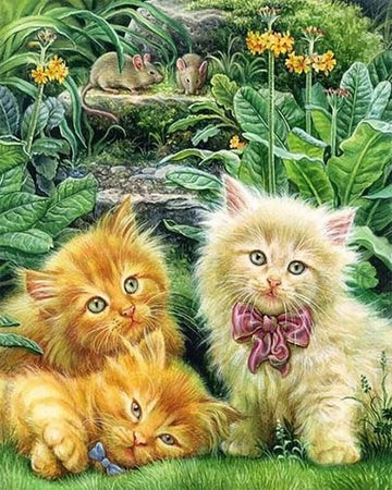Cute Kittens in the Garden