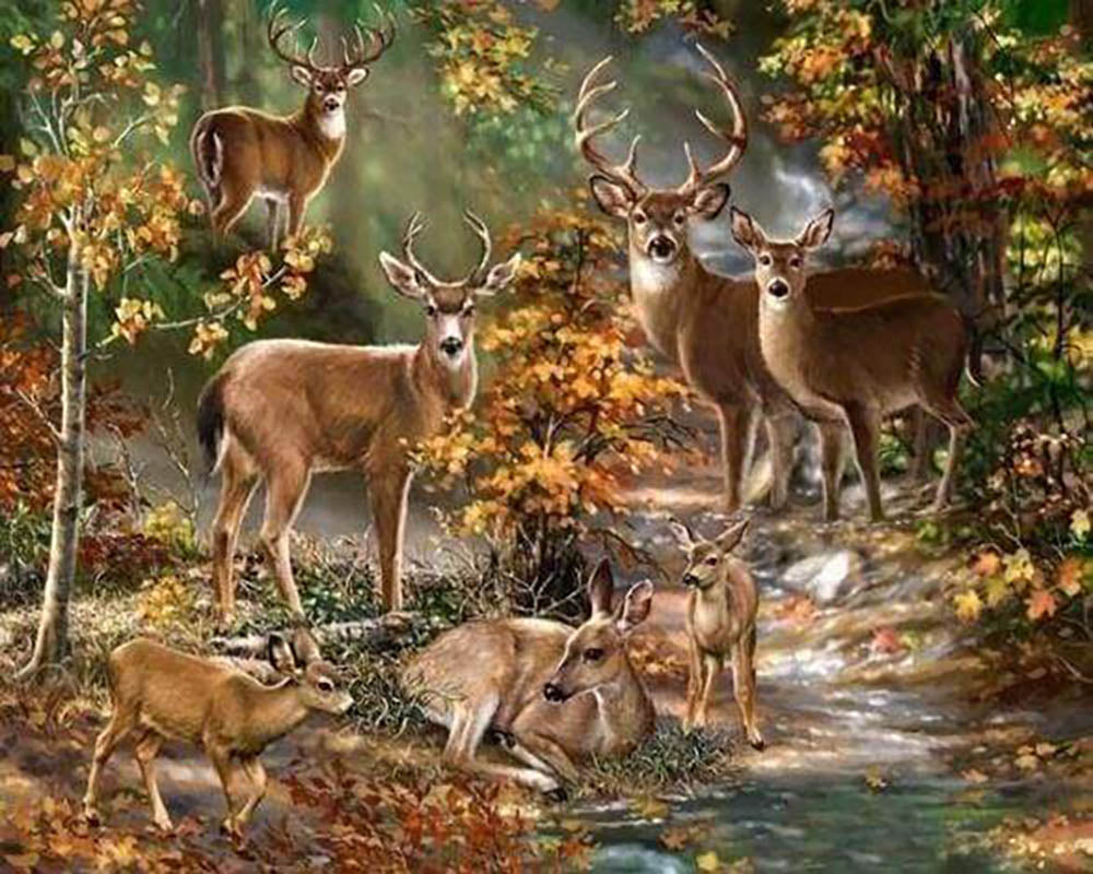Deer Family