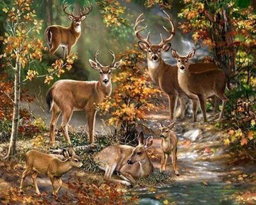 Deer Family