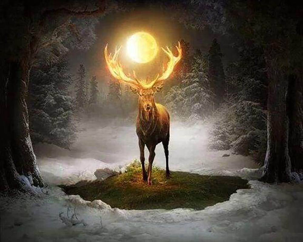 Deer and Full Moon