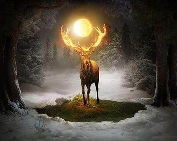 Deer and Full Moon