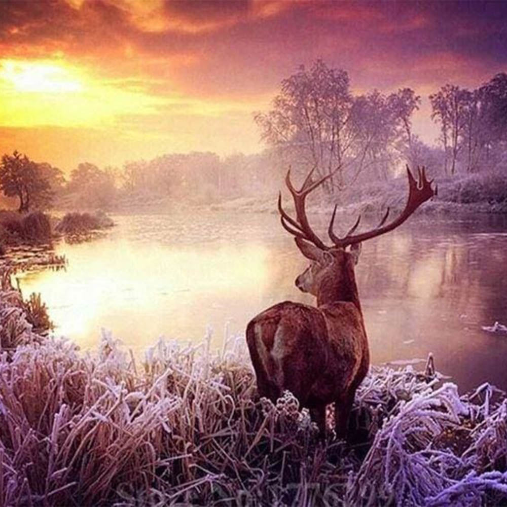 Deer near the Lake