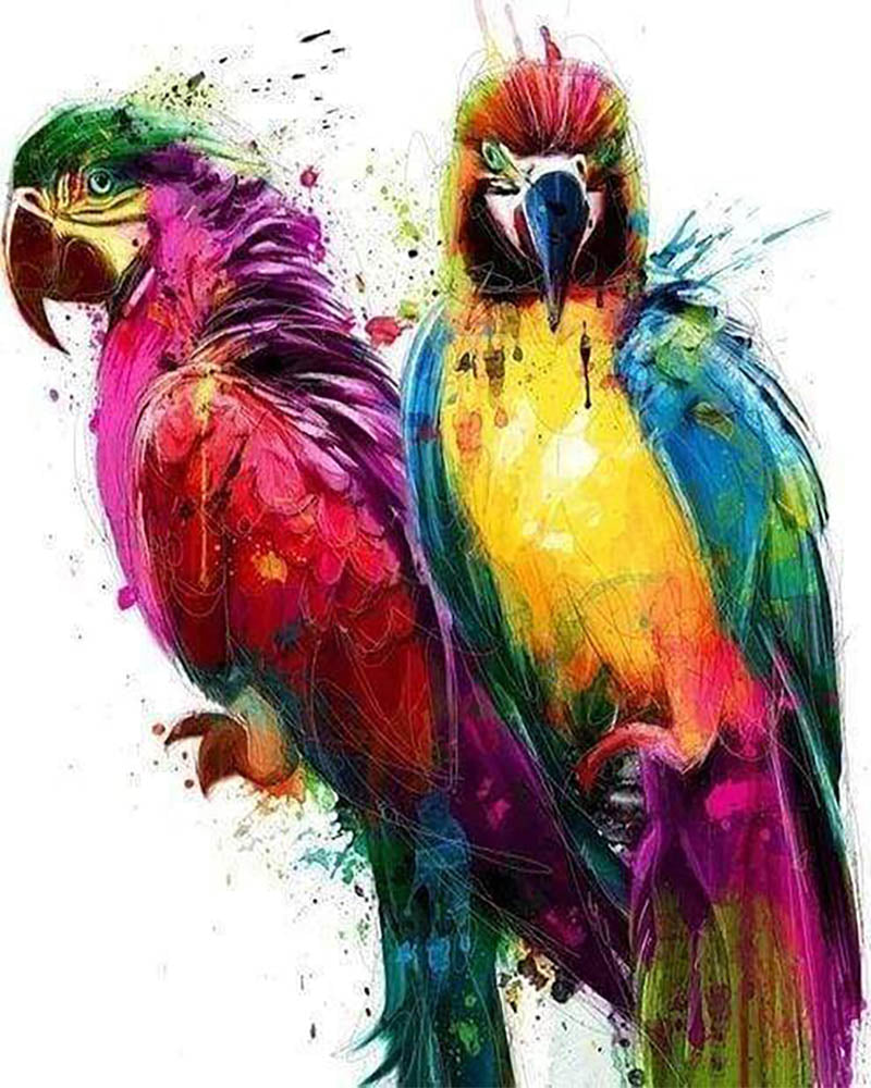 Design Parrots