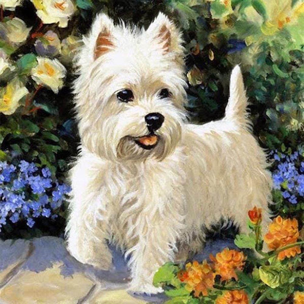 Dog Westie