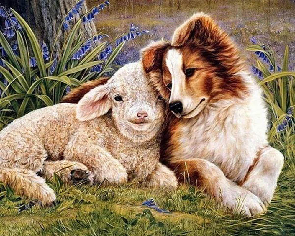 Dog and Sheep