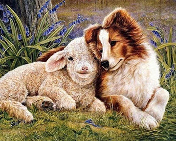 Dog and Sheep