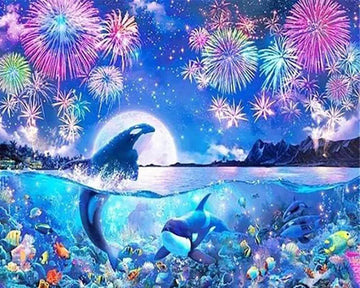 Dolphins and Fireworks
