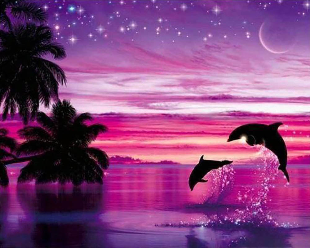 Dolphins having fun