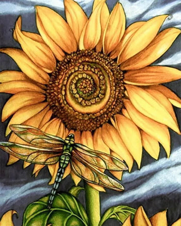 Dragonfly and Sunflower