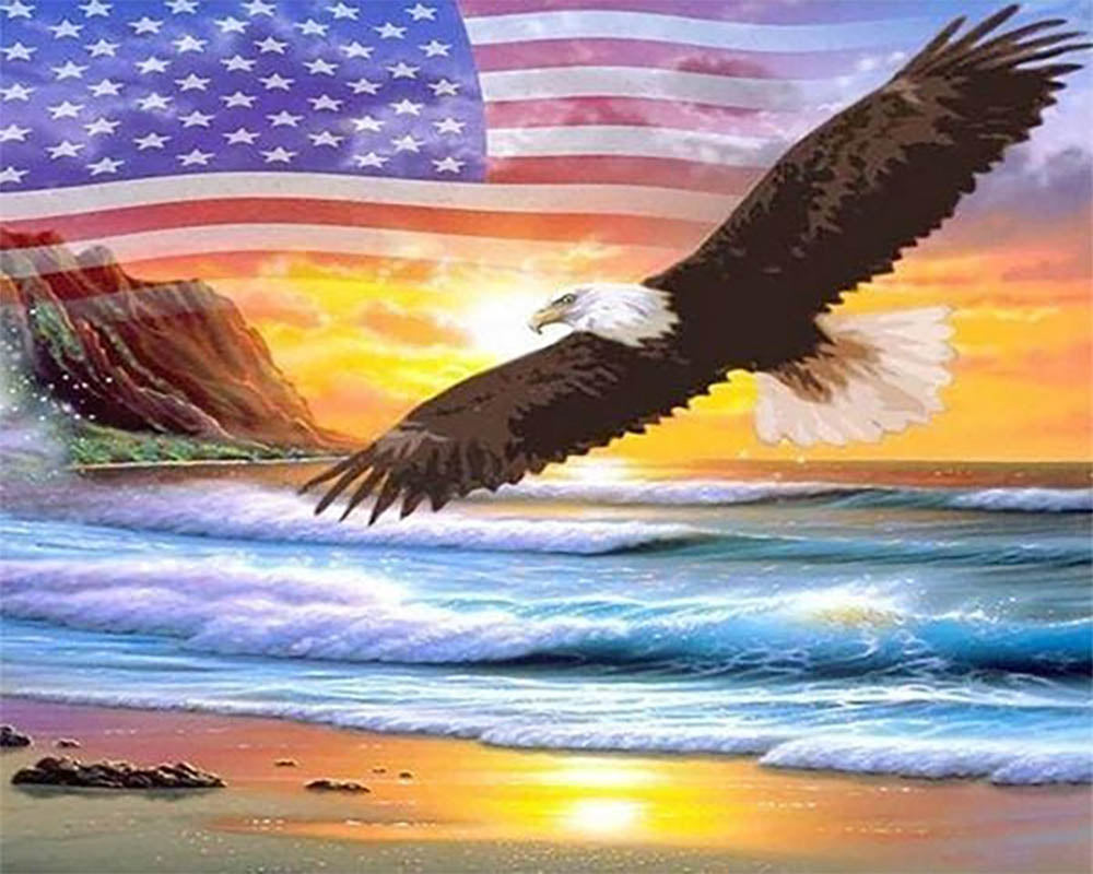 Eagle Flag USA