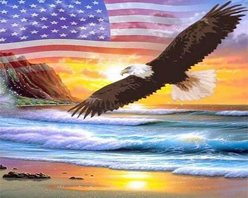 Eagle Flag USA