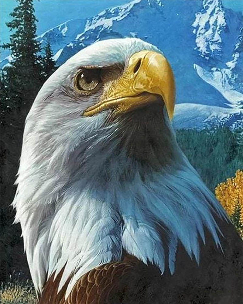 Eagle and Mountain
