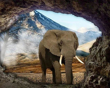 Elephant View