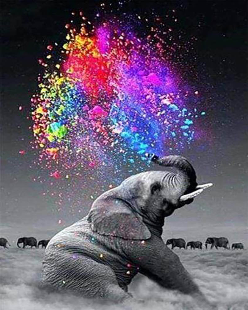 Elephant and Colors