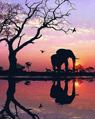 Elephant and Sunset Sun