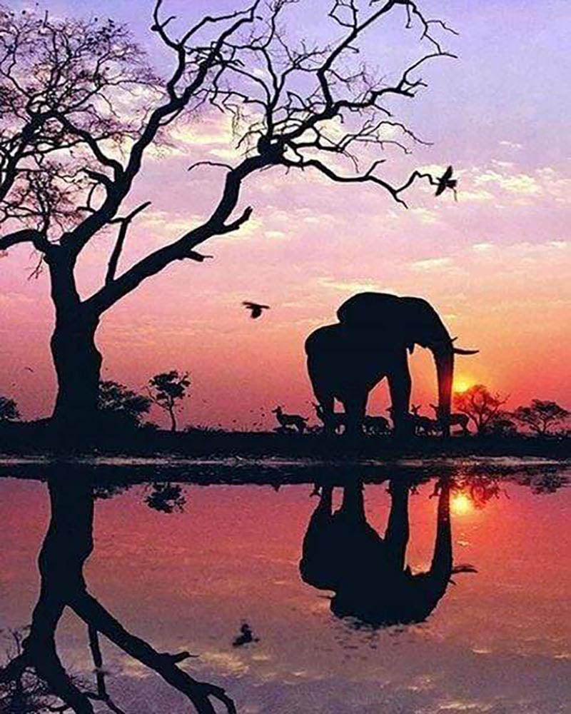 Elephant and Sunset Sun