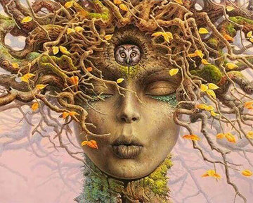 Face Roots