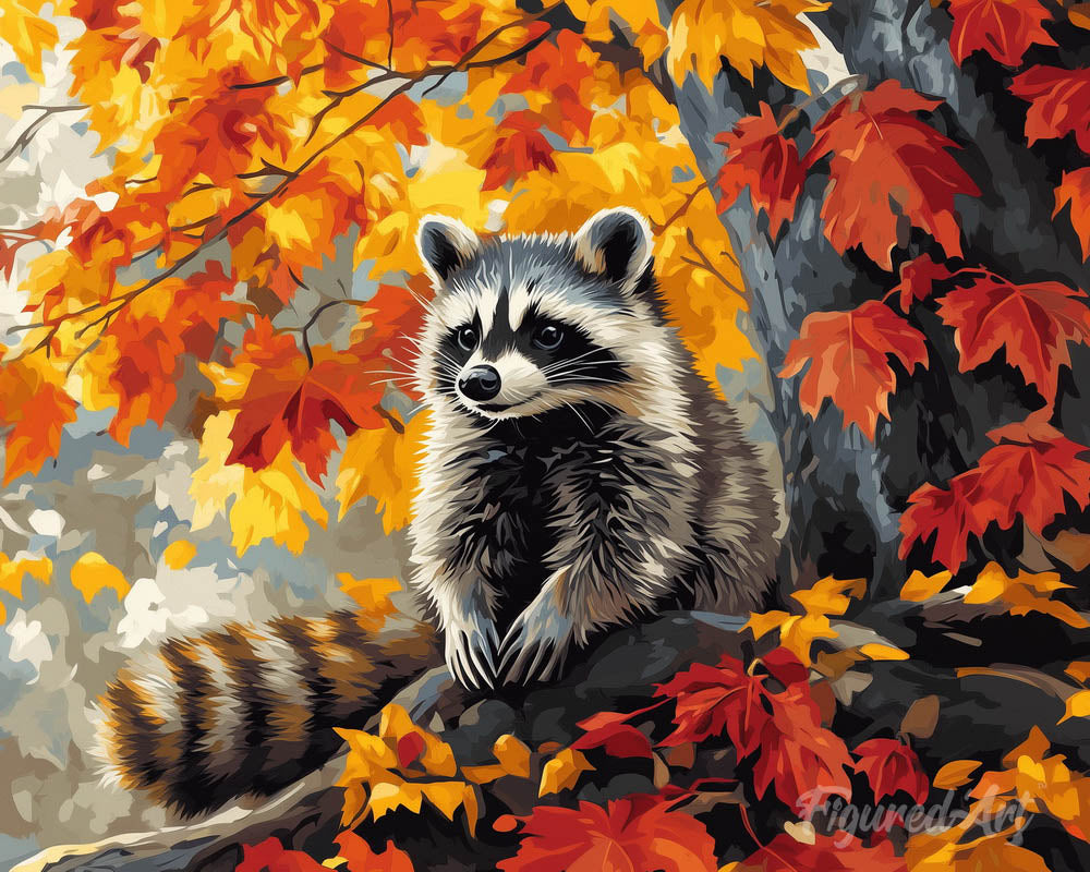 Fall Raccoon