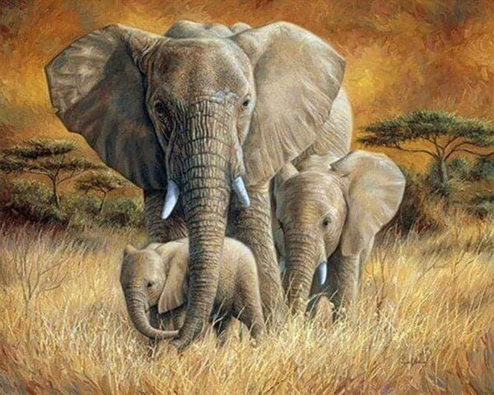 Family of Elephants