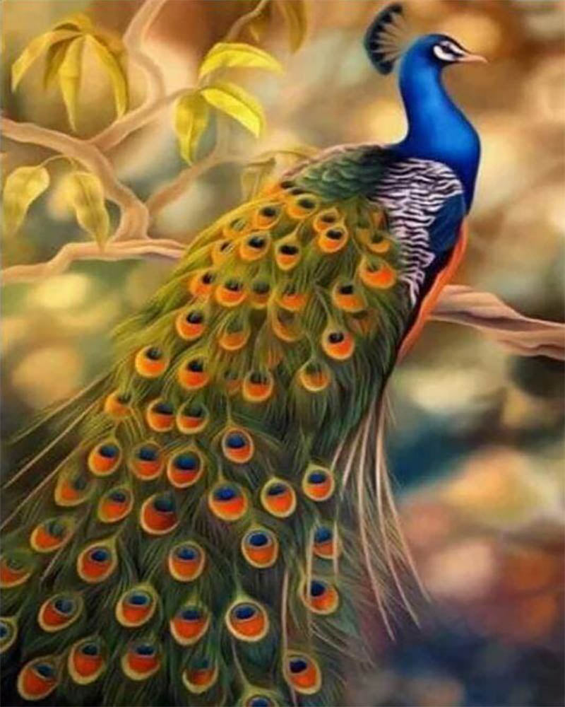 Female Peacock