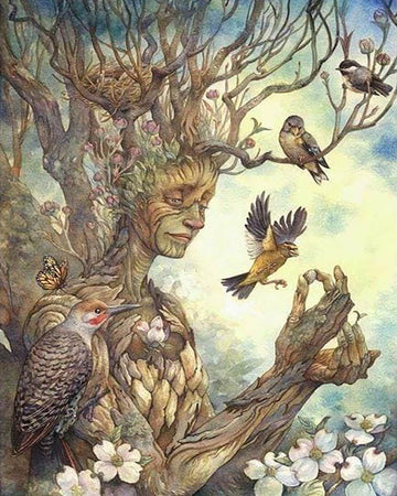 Female Tree